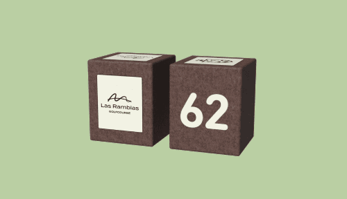 Tee number cube