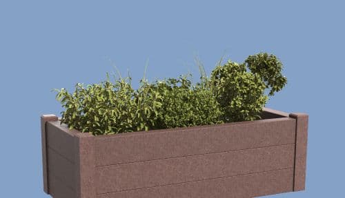Oxalis Planter