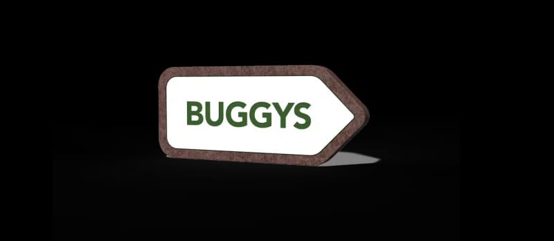 Buggy sign