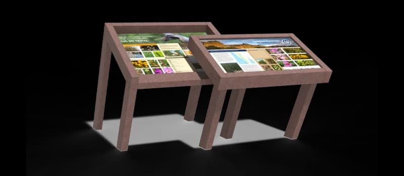 ICNF interpretive display