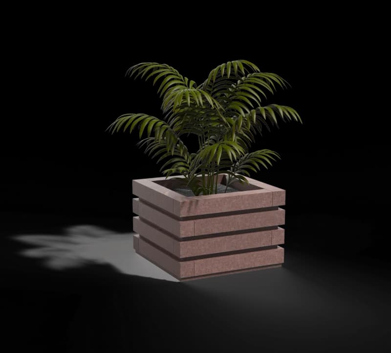 Liatris planter