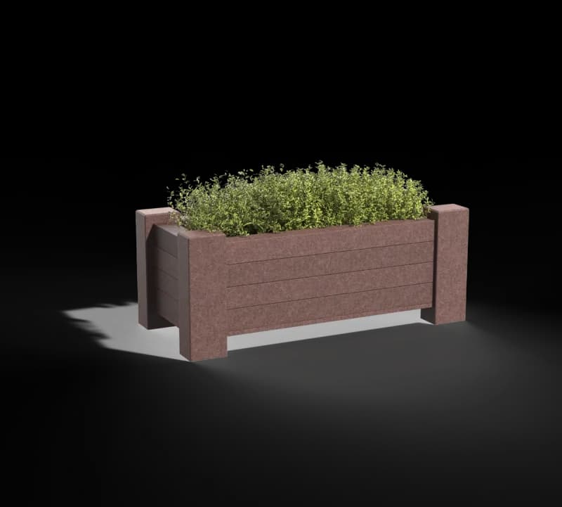 Oxalis planter
